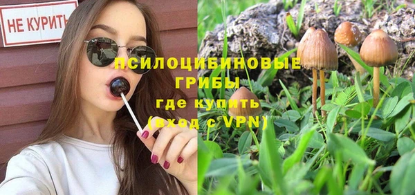 прущая мука Краснослободск
