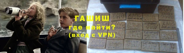 крисы Корсаков