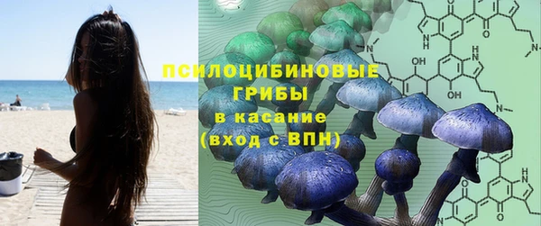 прущая мука Краснослободск