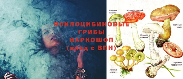 прущая мука Краснослободск