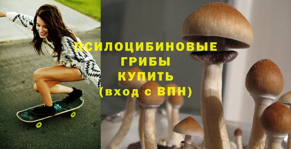 spice Краснотурьинск