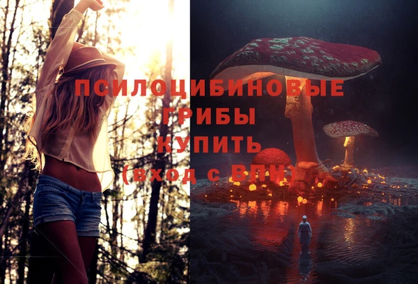 прущая мука Краснослободск