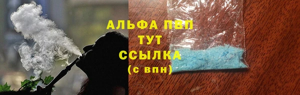 крисы Корсаков